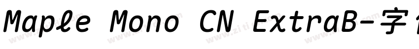 Maple Mono CN ExtraB字体转换